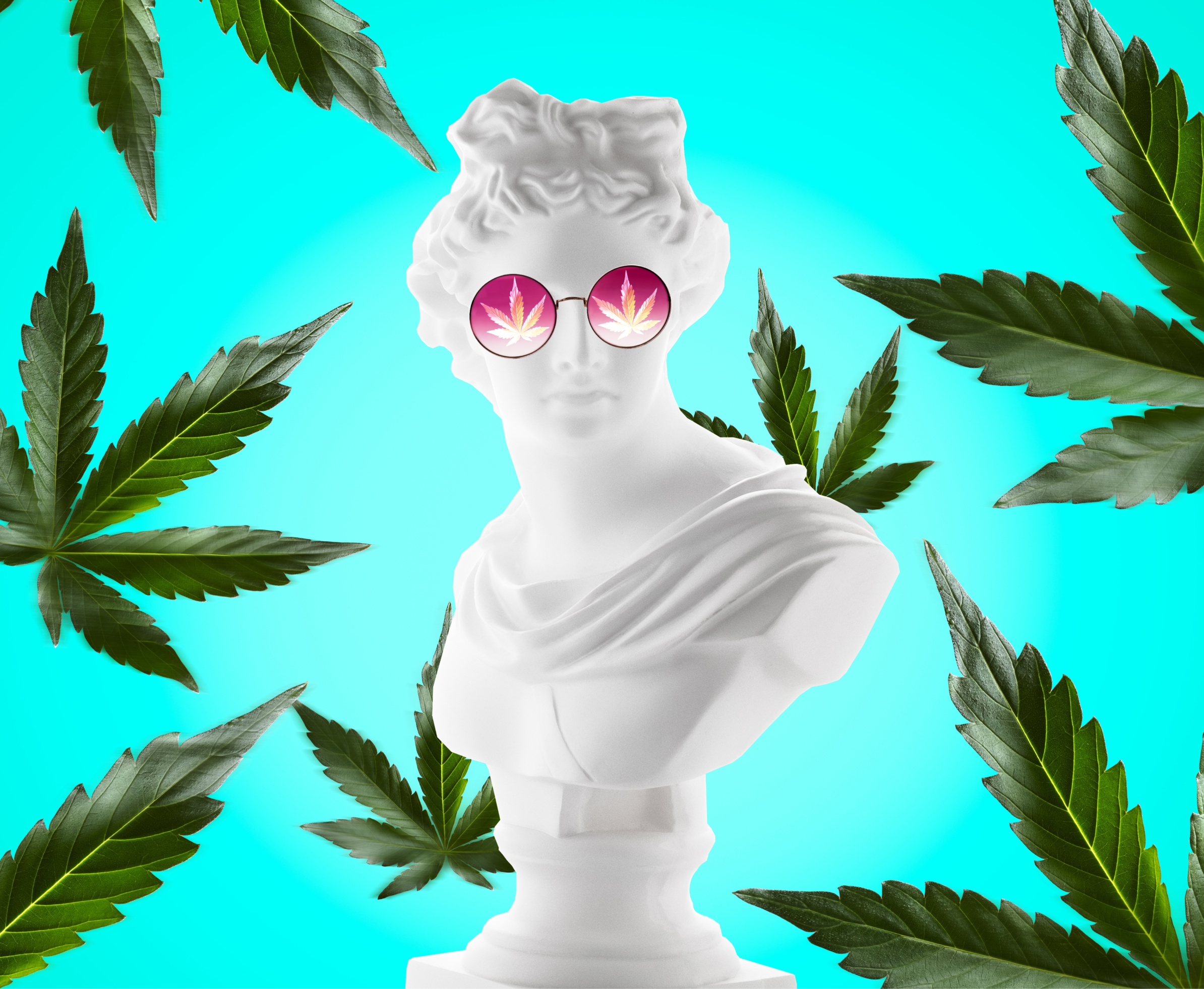 Cannabis blog